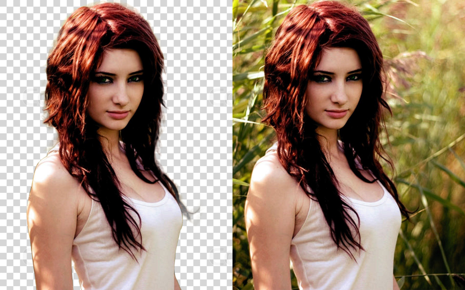 remove Background of Any 10 Images in 24 Hours for $5 ...