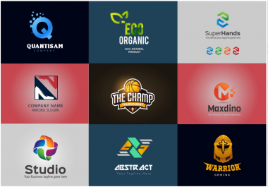 Professional Attractive Logo in 24 hours