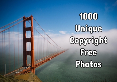 1000 Unique Stock Photos